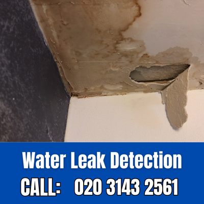 Expert Water Leak Detection Services in Russell Hill | Russell Hill Leak Detection